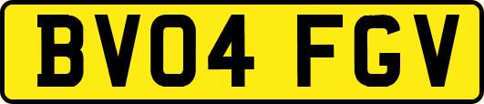 BV04FGV