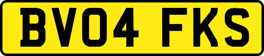 BV04FKS