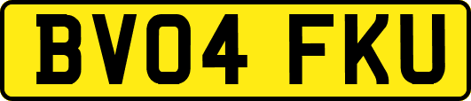 BV04FKU
