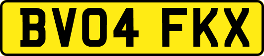 BV04FKX