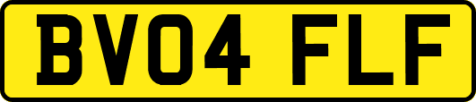 BV04FLF