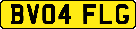 BV04FLG
