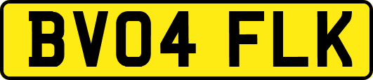 BV04FLK