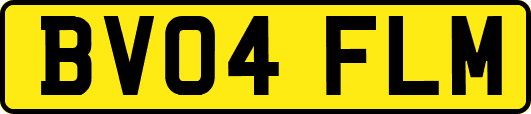 BV04FLM