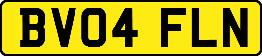 BV04FLN