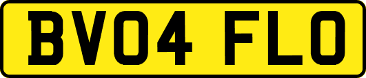 BV04FLO