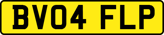 BV04FLP