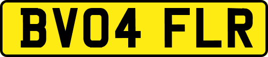 BV04FLR