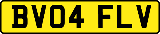 BV04FLV