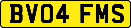 BV04FMS