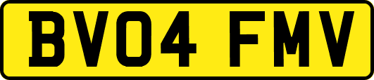 BV04FMV
