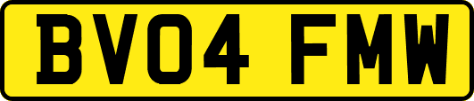 BV04FMW