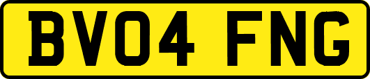 BV04FNG