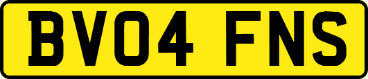 BV04FNS