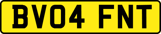BV04FNT