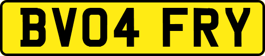 BV04FRY