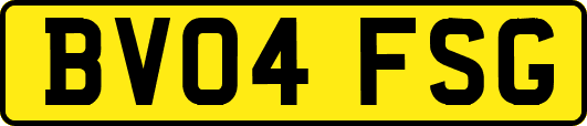 BV04FSG