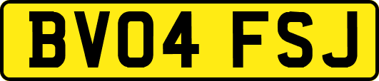 BV04FSJ