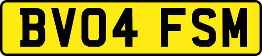 BV04FSM