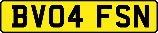 BV04FSN