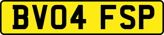 BV04FSP