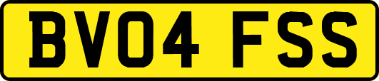 BV04FSS