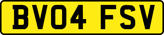 BV04FSV