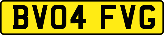 BV04FVG