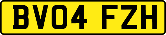 BV04FZH