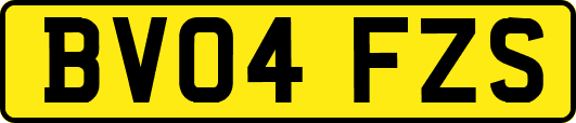 BV04FZS
