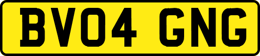 BV04GNG