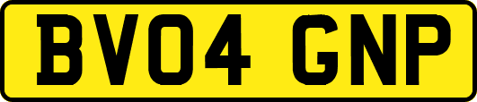 BV04GNP