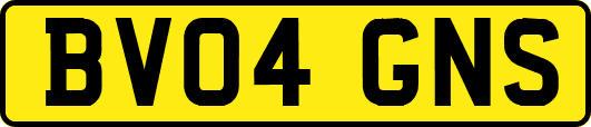 BV04GNS