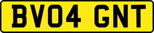 BV04GNT