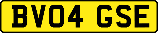 BV04GSE