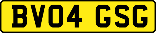 BV04GSG