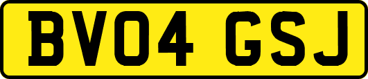 BV04GSJ