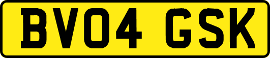 BV04GSK
