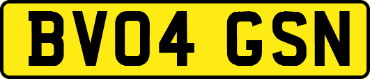 BV04GSN
