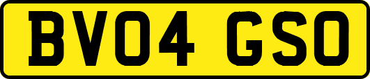 BV04GSO