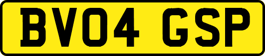 BV04GSP