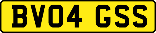 BV04GSS
