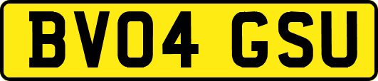 BV04GSU