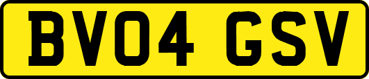 BV04GSV