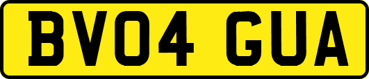 BV04GUA
