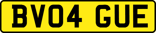 BV04GUE