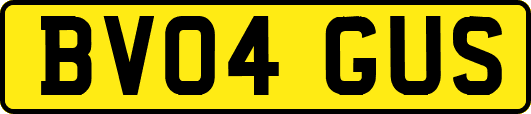 BV04GUS