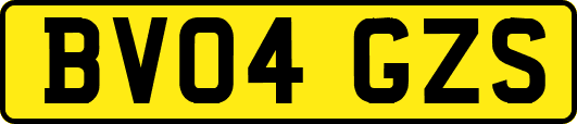 BV04GZS