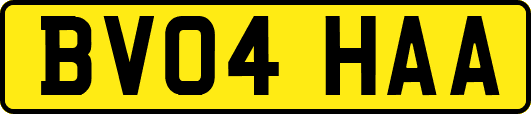 BV04HAA