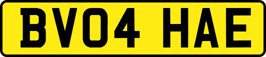 BV04HAE